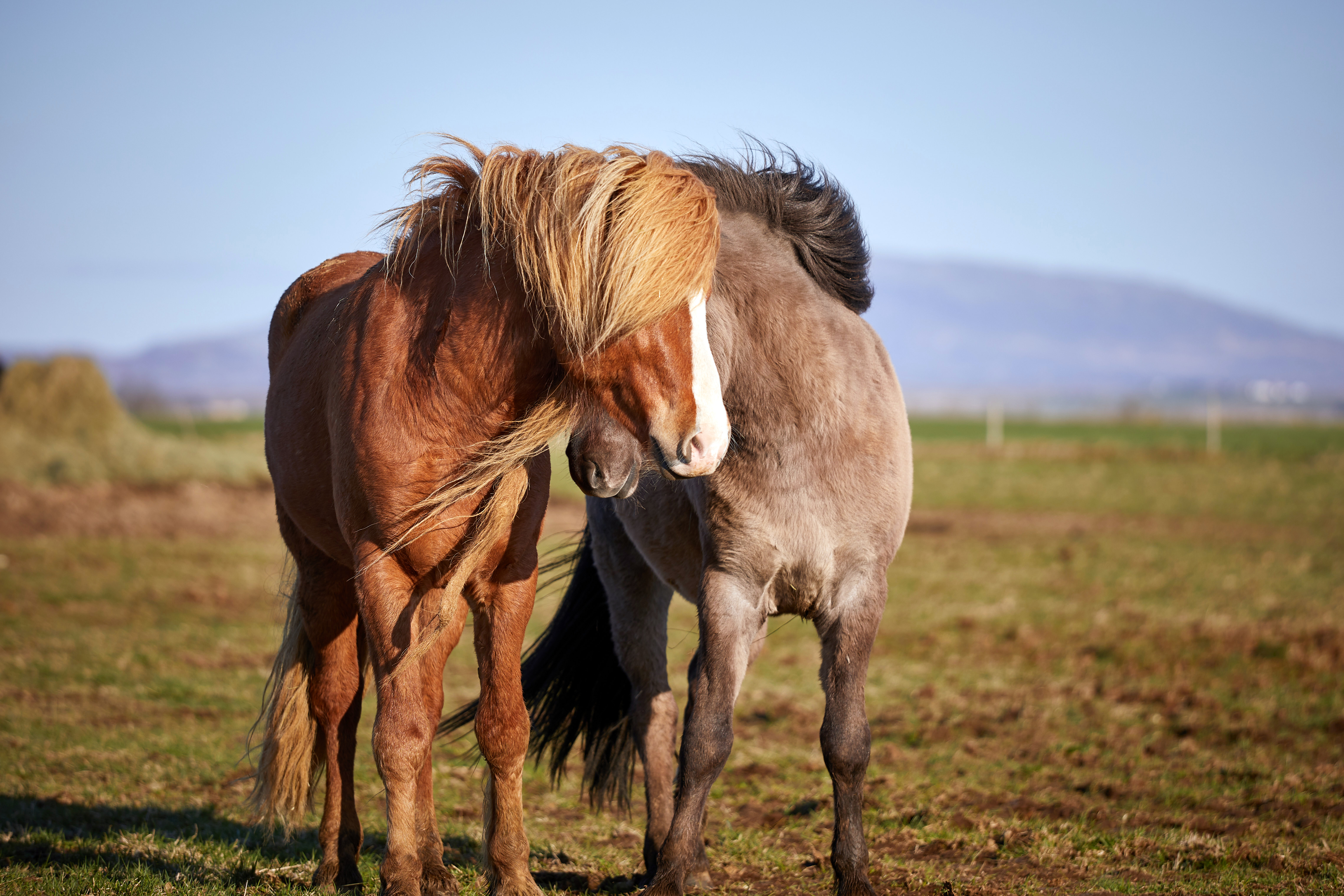 20190503 On the Road 041